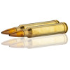 Sauvestre .300 Win Mag FIP Battue 164 gr / 10.6 g — vue 3