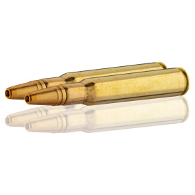 Sauvestre .30-06 Springfield FIP Battue — vue 2