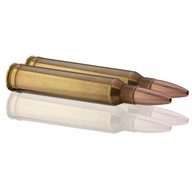 GECO .300 Win. Mag. PLUS 170 gr / 11,0 g