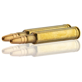 Sauvestre .300 Weatherby FIP Battue 164 gr / 10.6 g — vue 2