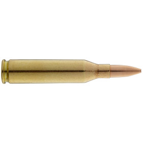 Sologne .243 Win Subsonique Sierra HPBT 70 gr / 4,5 g