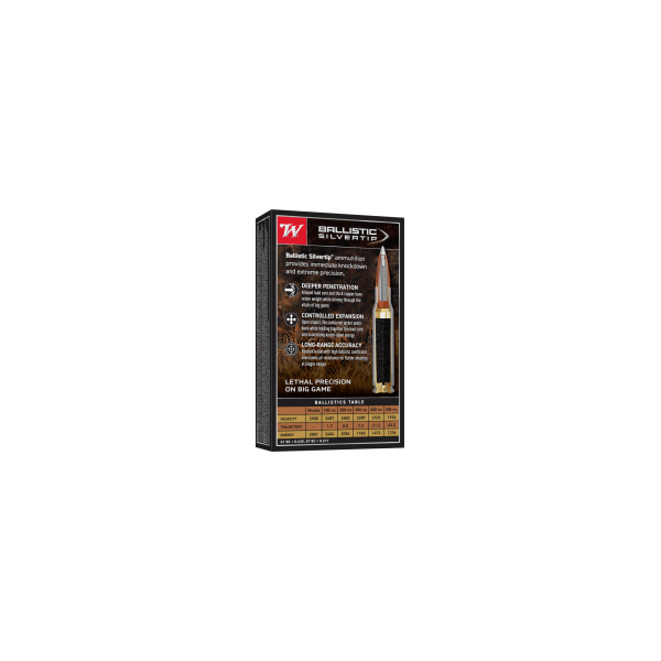 Winchester Ballistic Silvertip .30-06 Springfield 150 gr / 9.7 g — vue 2