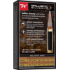 Winchester Ballistic Silvertip .30-06 Springfield 150 gr / 9.7 g — vue 6