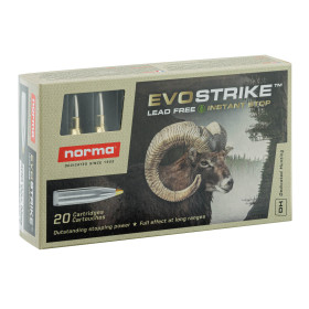 Norma .300 Win Mag EVOSTRIKE 139 grains / 9 g — vue 2