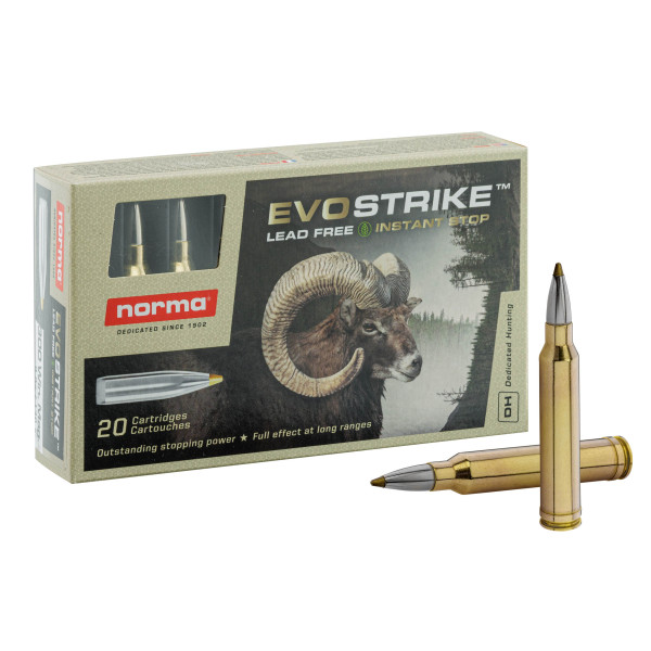 Norma .300 Win Mag EVOSTRIKE 139 grains / 9 g — vue 4
