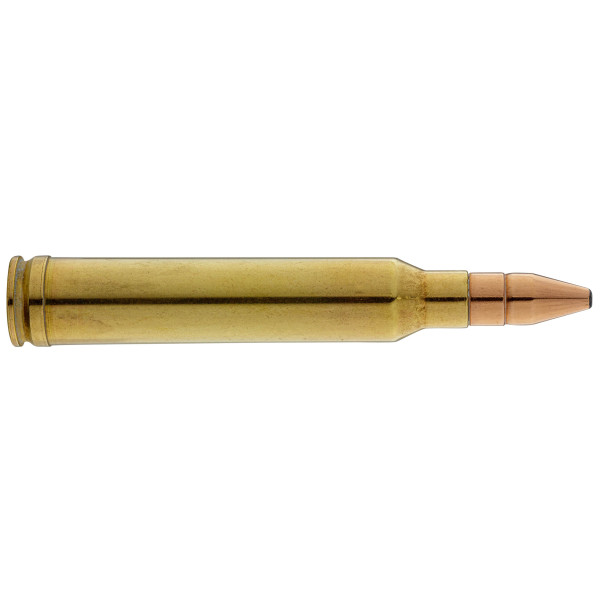 RWS .300 Win Mag Double noyau DK 165 gr / 10.7 g — vue 3
