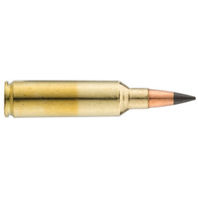 Winchester Extreme Point .270 WSM 130 gr / 8.4 g