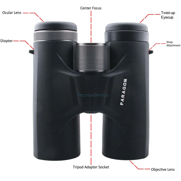 JUMELLES PARAGON 10X42 — vue 5