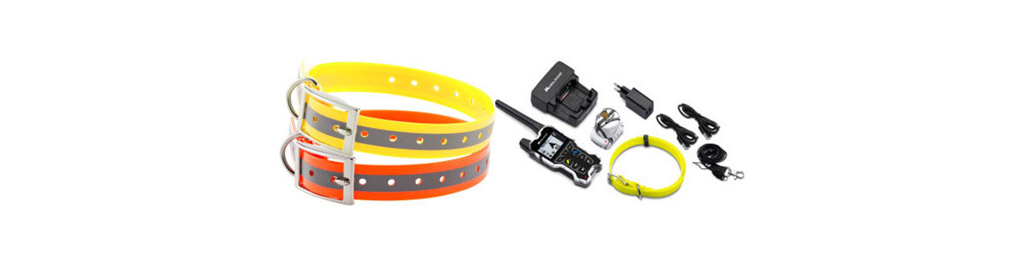 Chiens de chasse & Accessoires